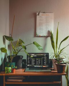 resized_100166