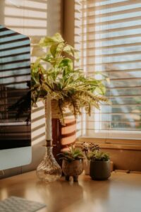 resized_100770